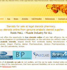 RoidsMall.To Review