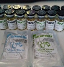 Dragon Pharma Review