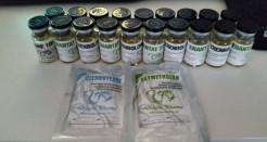 Dragon Pharma Review