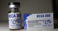 Deca 300 Reviews