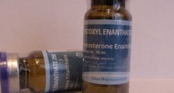 Testoxyl Enanthate Reviews